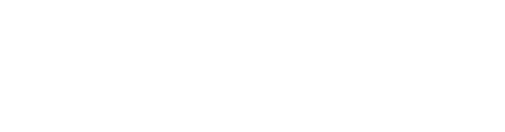 logo-2
